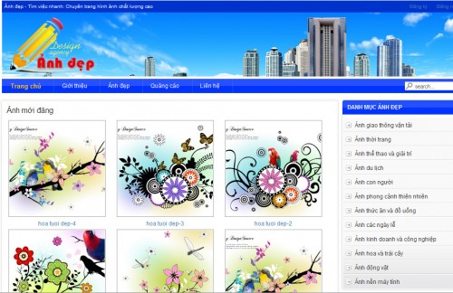 Nguyên tắc cơ bản để thiết kế web Đồng Nai